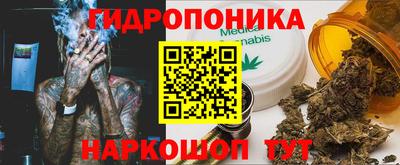 соль ск Пушкино