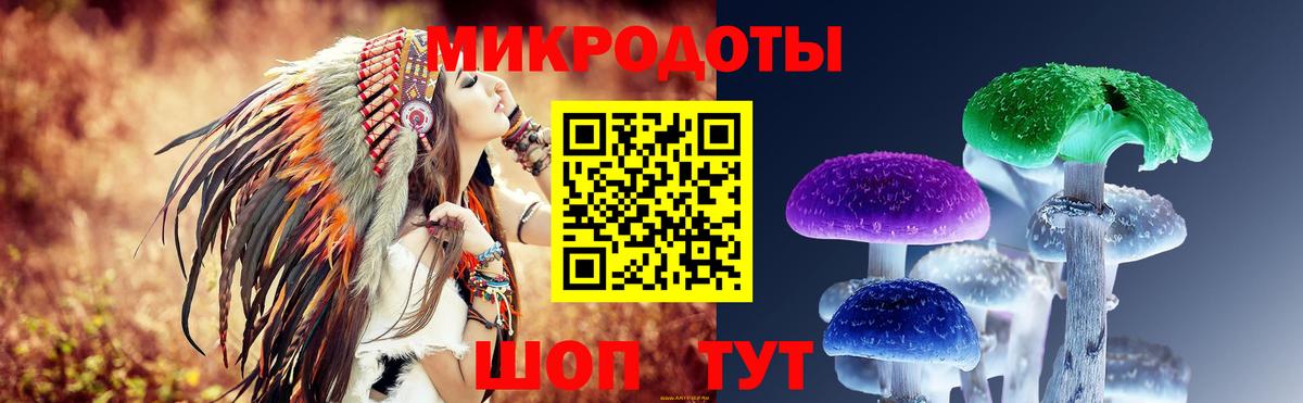 Галлюциногенные грибы Psilocybe Орехово-Зуево